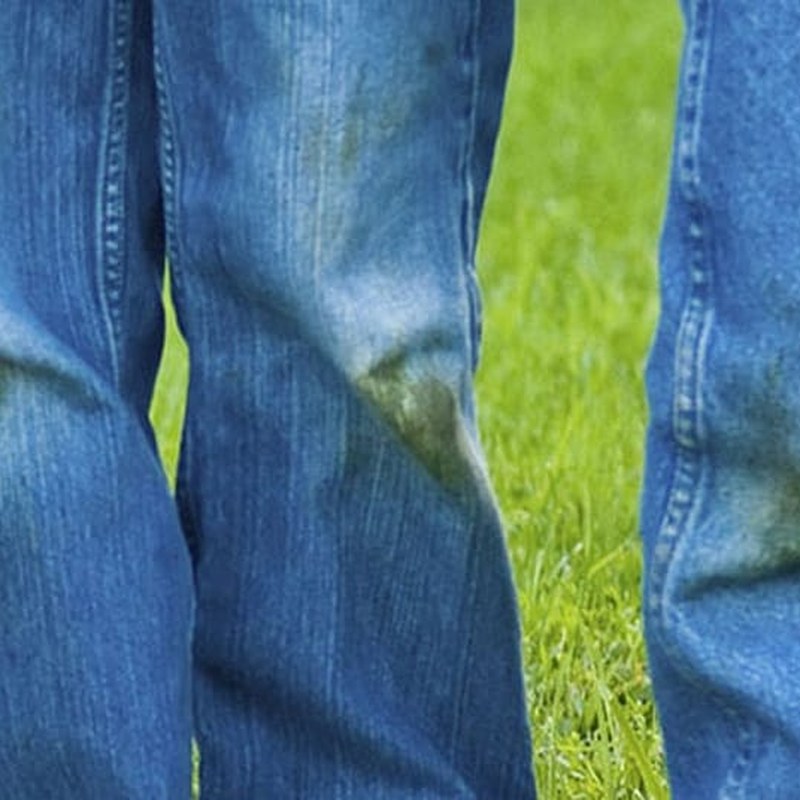Grass stain on fabric